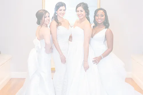 Dress collection